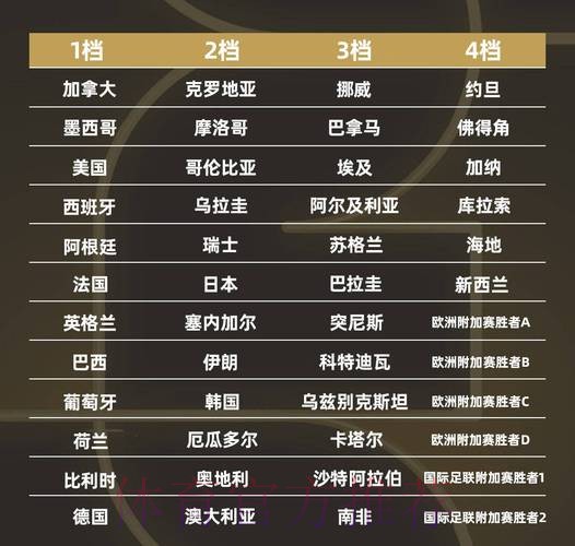 世界杯强队排名免费